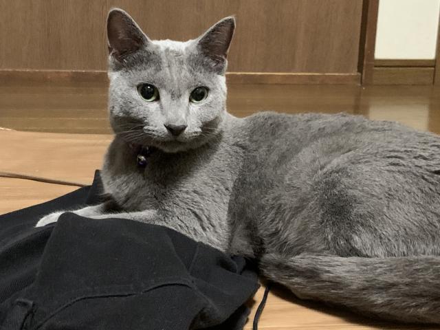 ジャー助