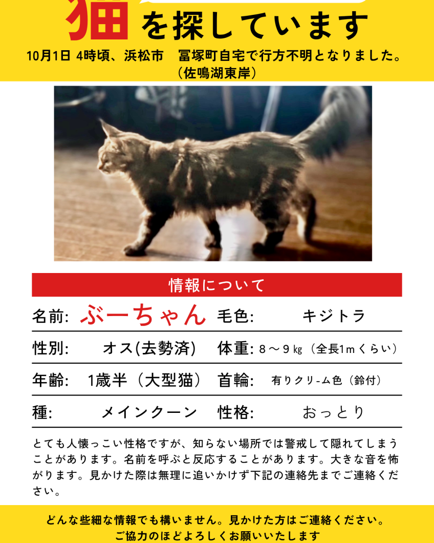 ぶーちゃん