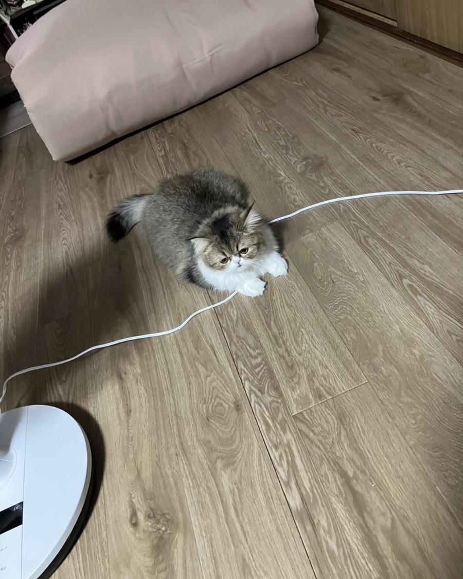ルナ