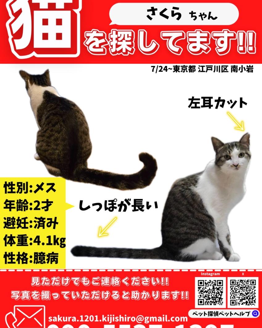さくら