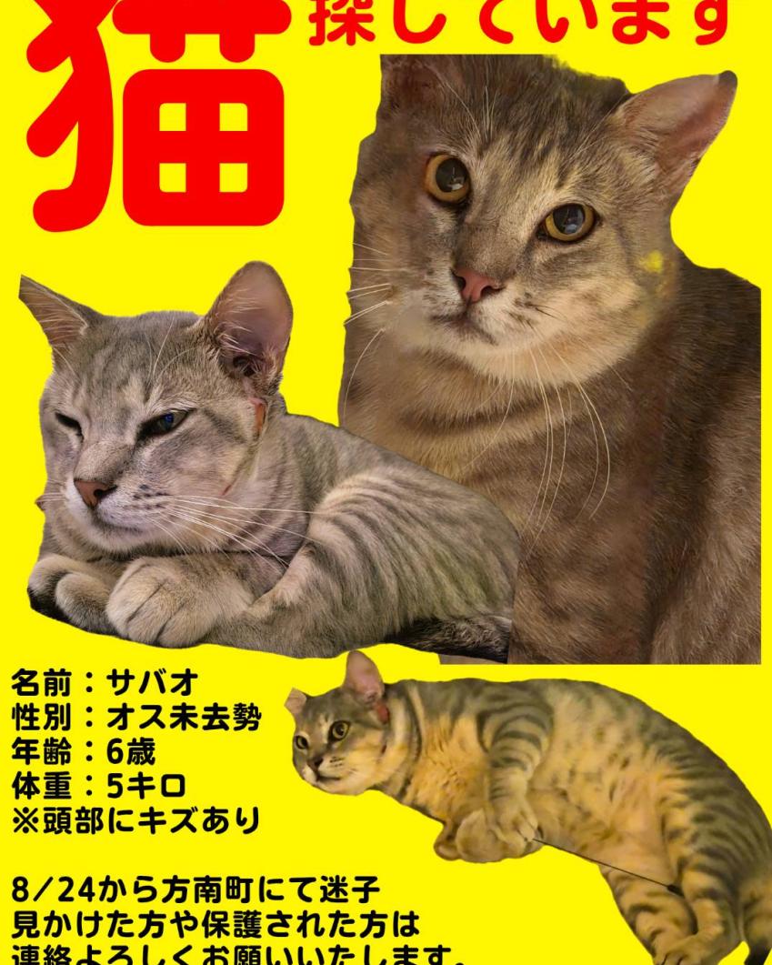 サバオ