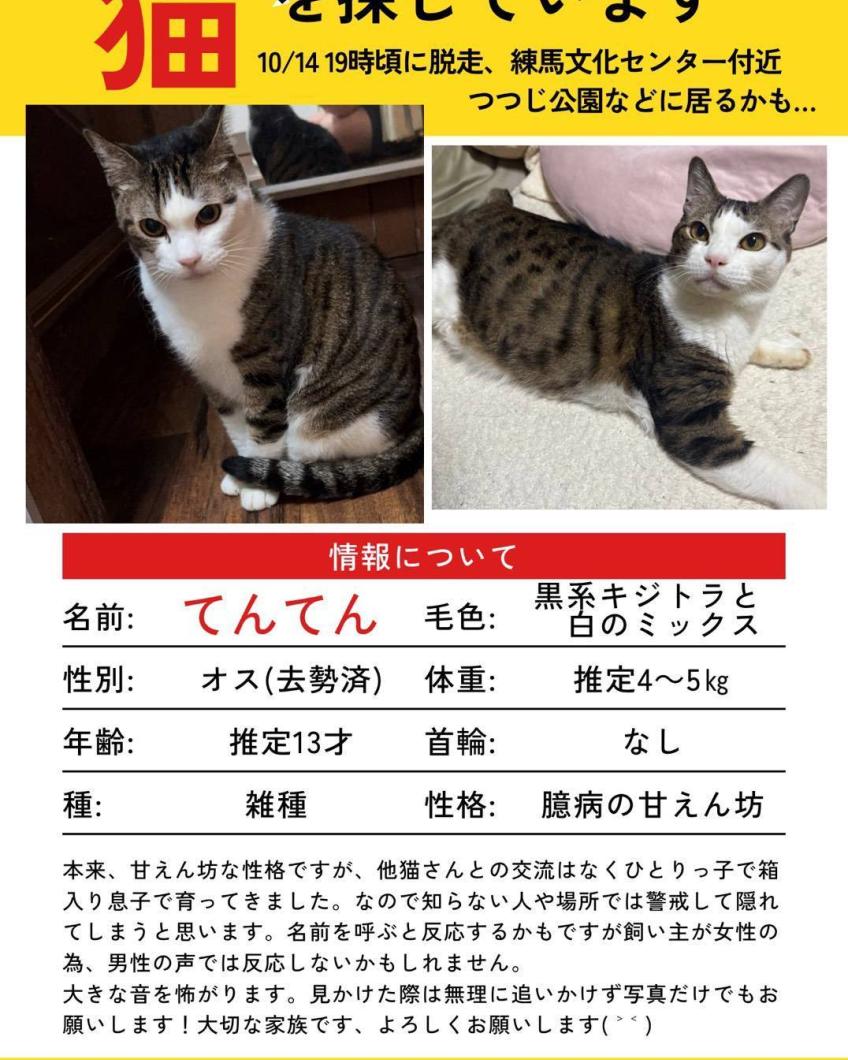 てんてん