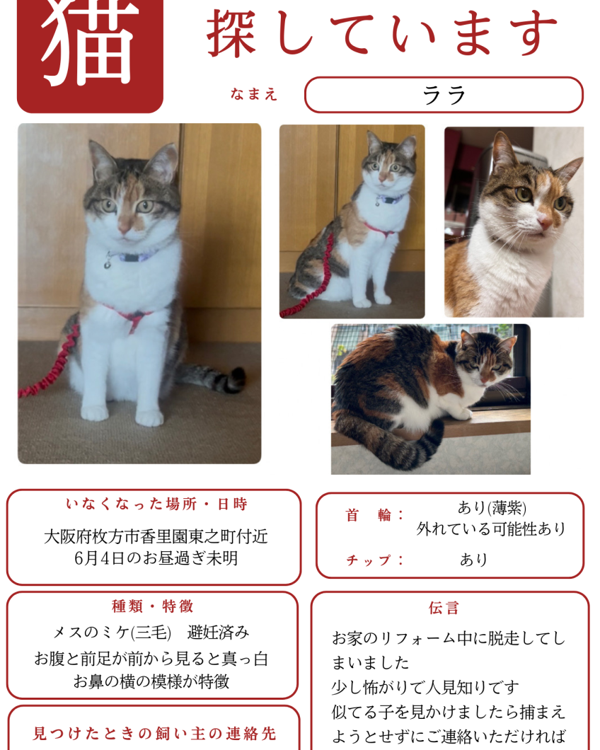 ララ