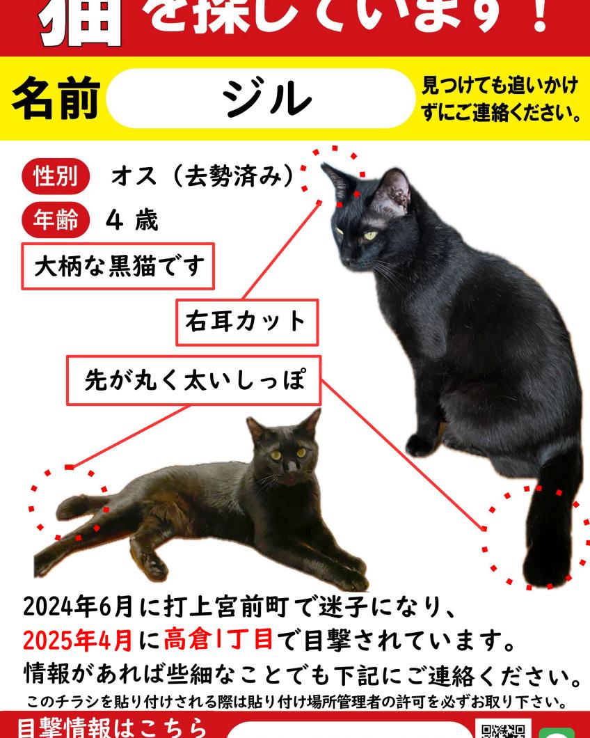 ジル君