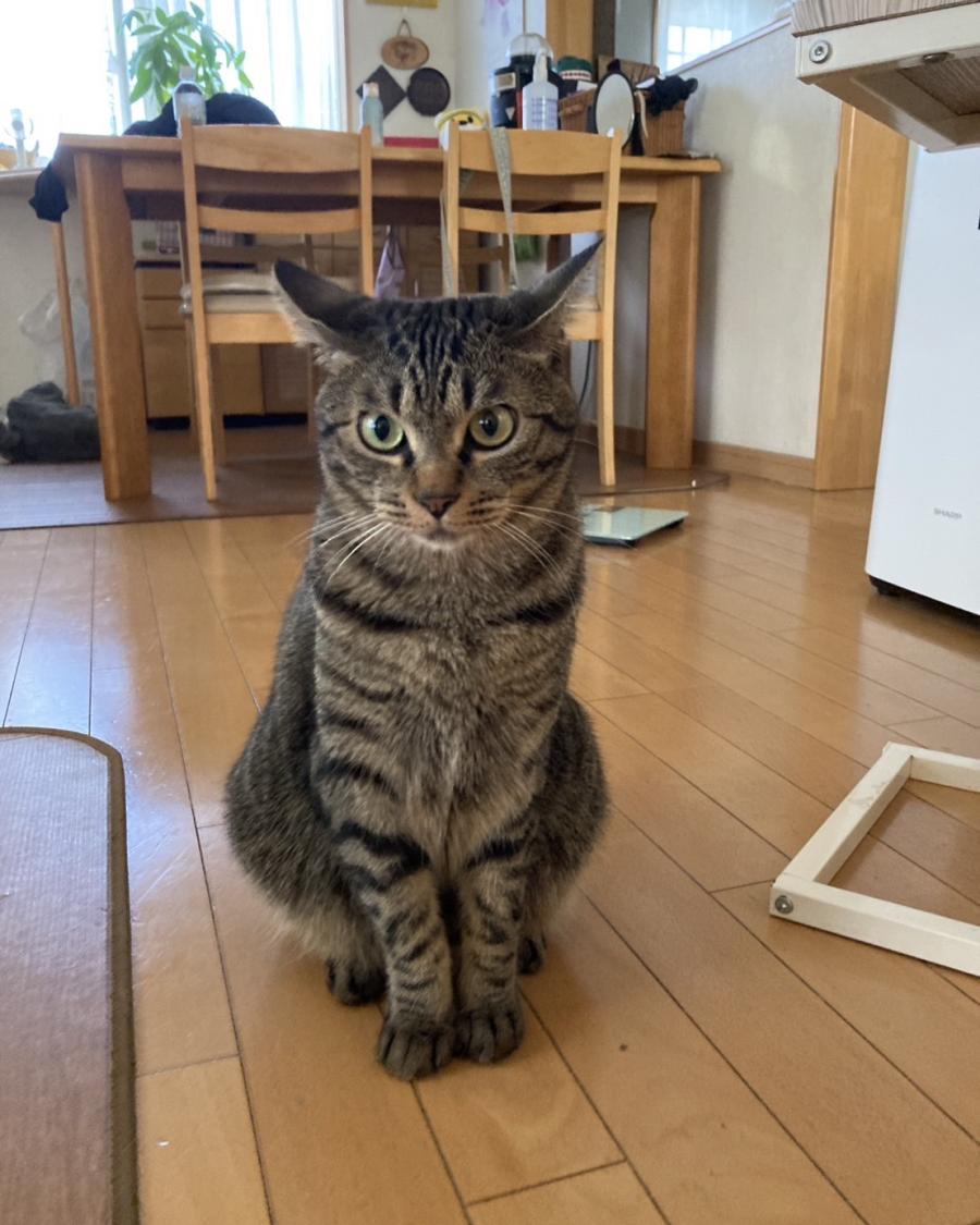 じこ