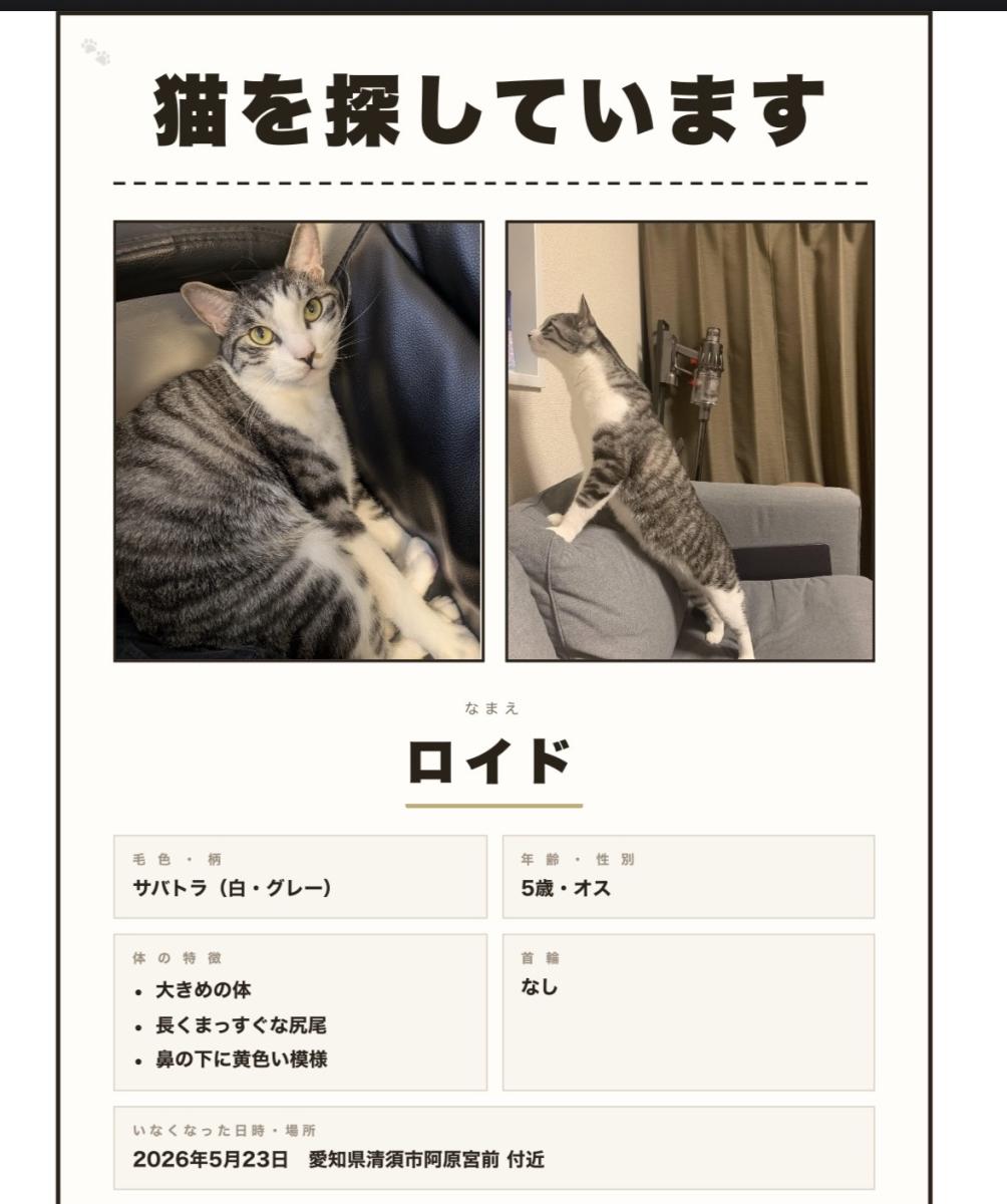 ロイド