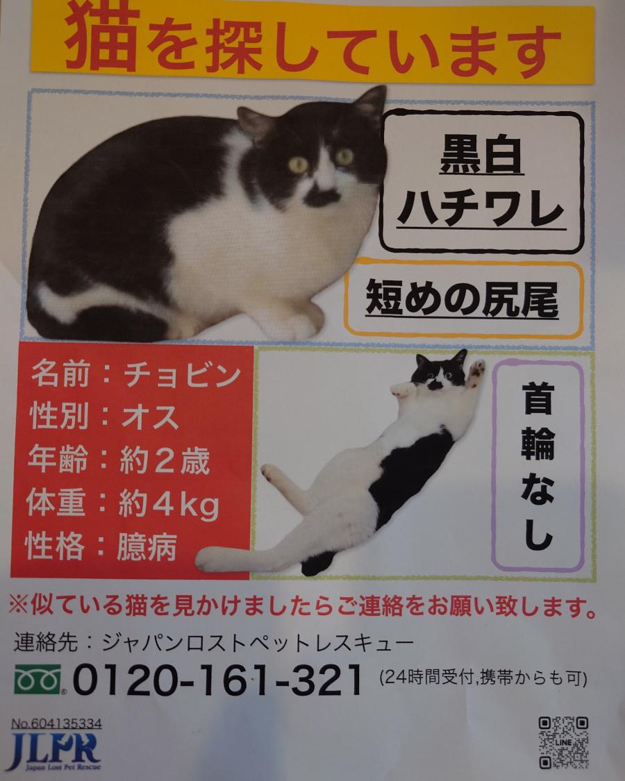 チョビン
