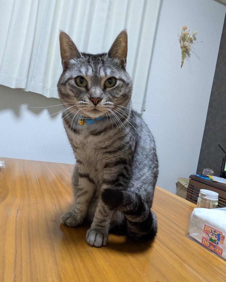 まー