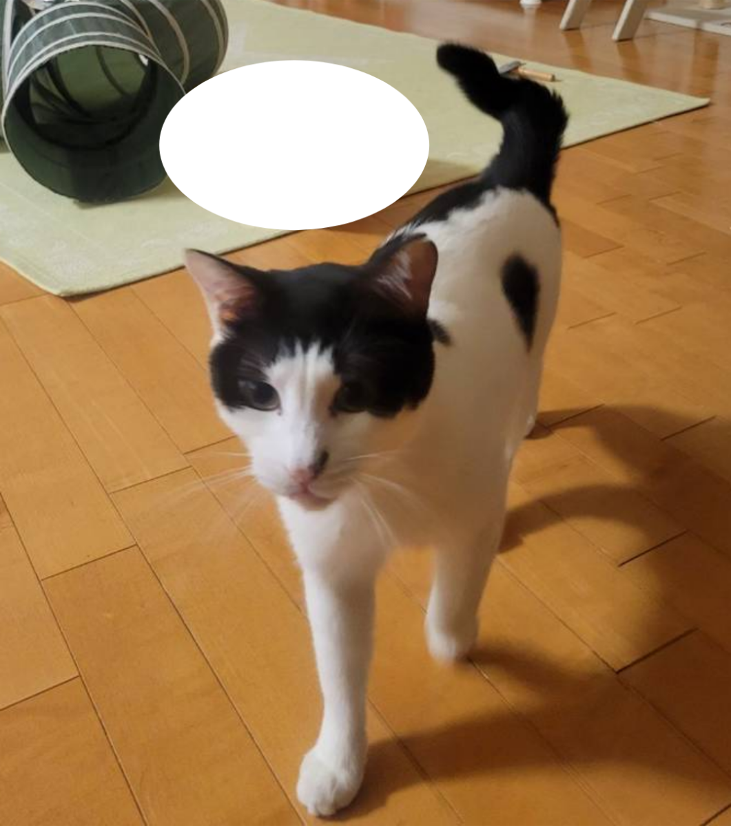 ねね