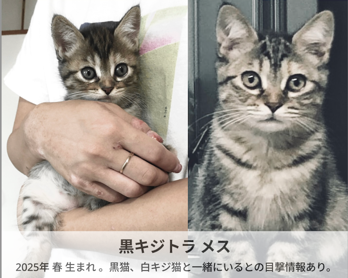こじこじ