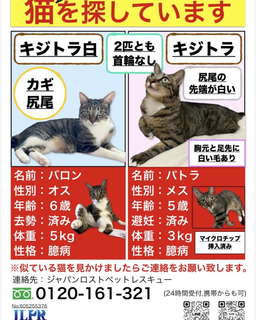 バロン