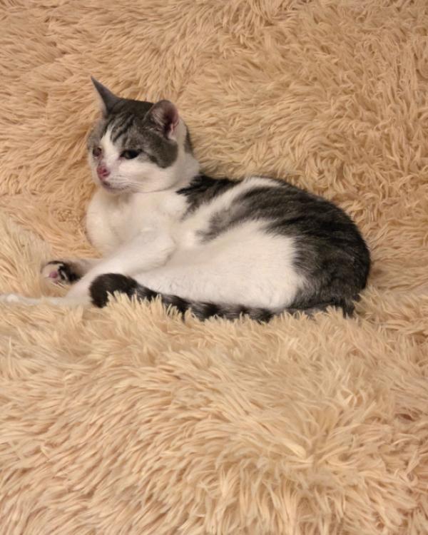 ジュン