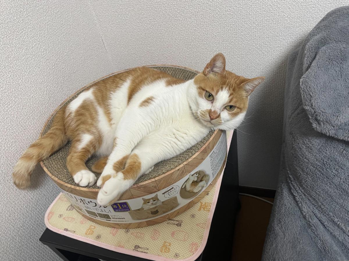 みー