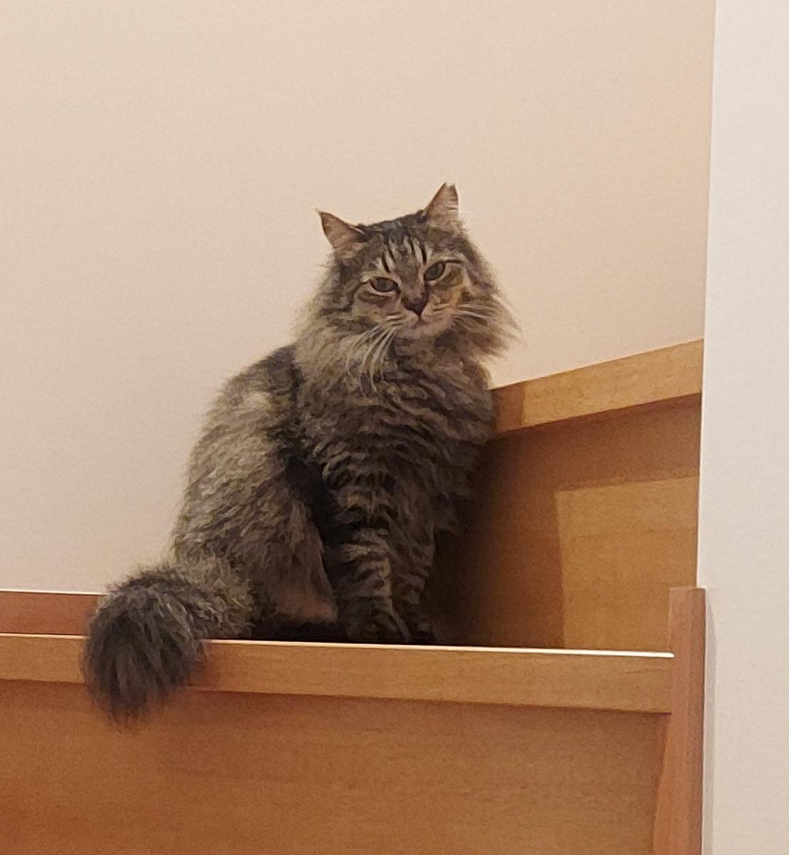 あお